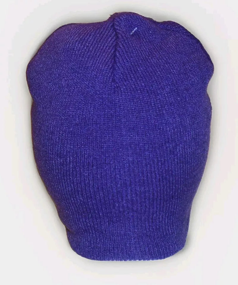 Minnesota Vikings Mens Adult Beanie Winter Purple Hat Cap New Tags Nfl