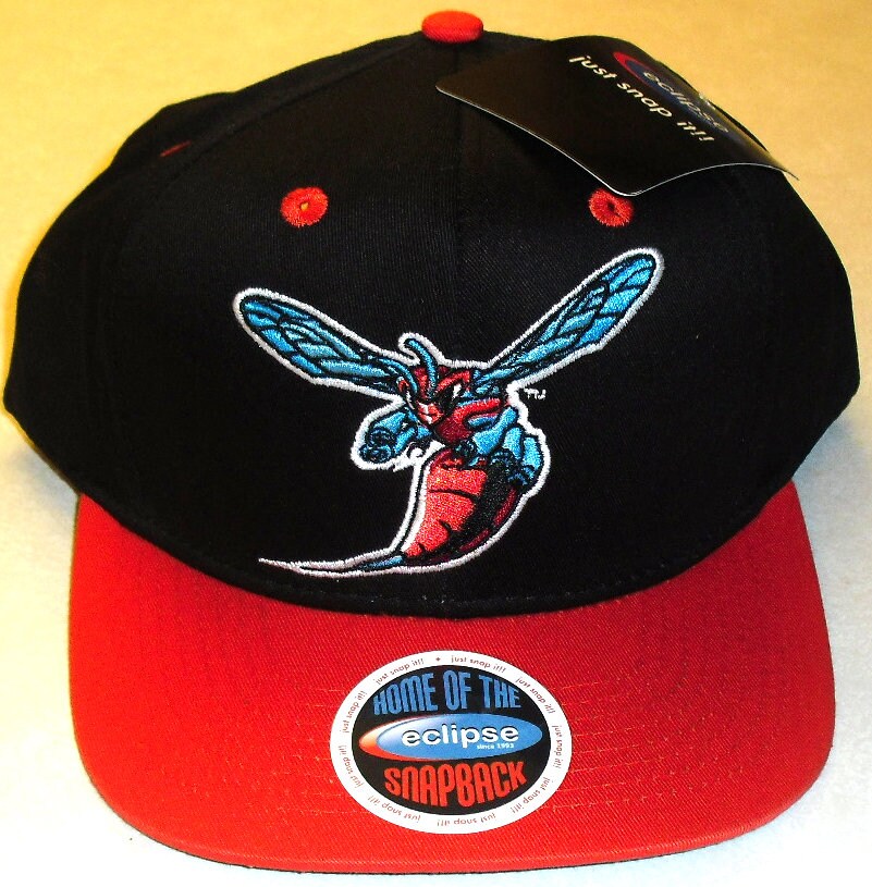 Delaware State Hornets Snapback hat Ncaa