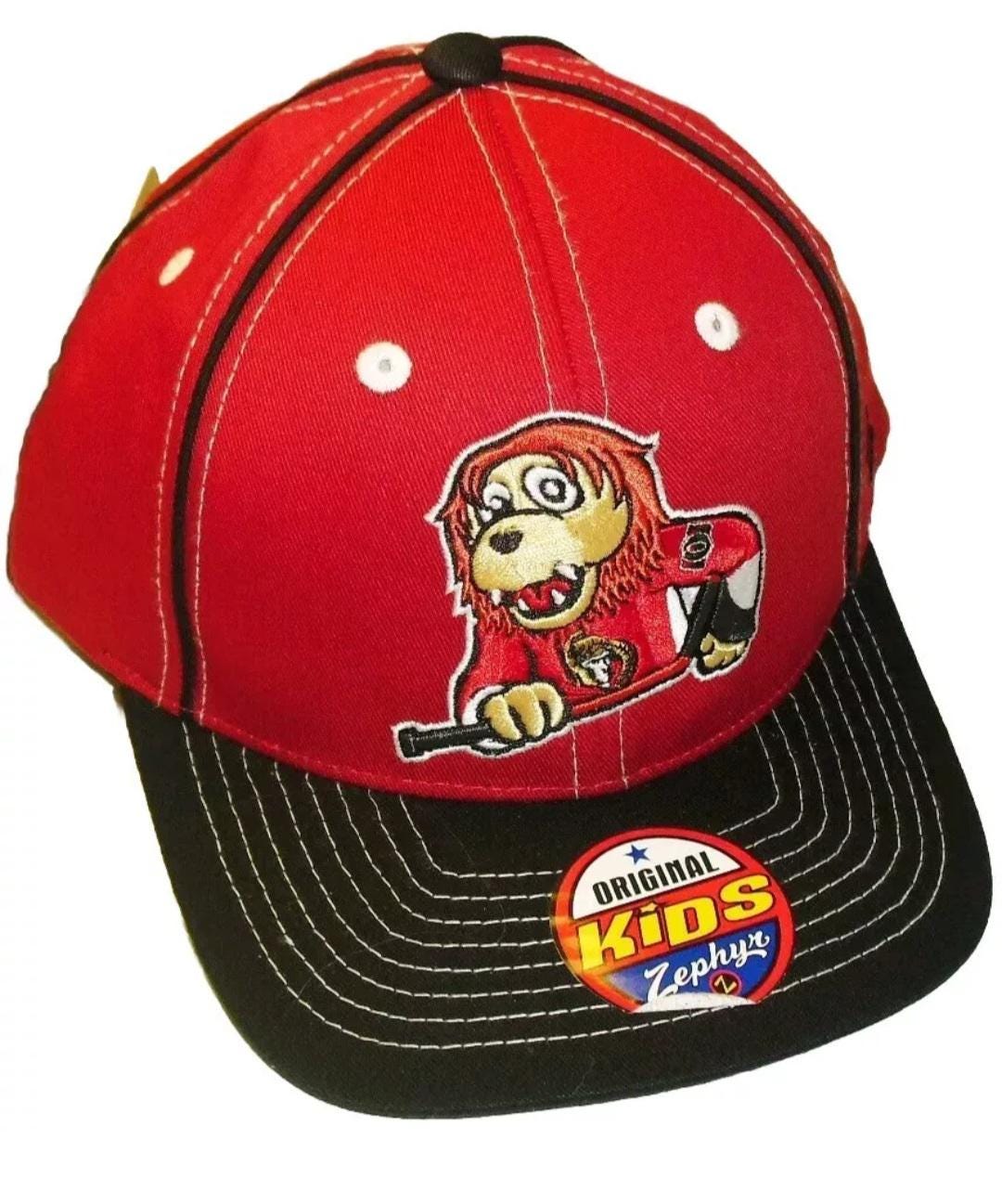 Ottawa Senators Kids youth Zephyr Snapback hat New Nhl