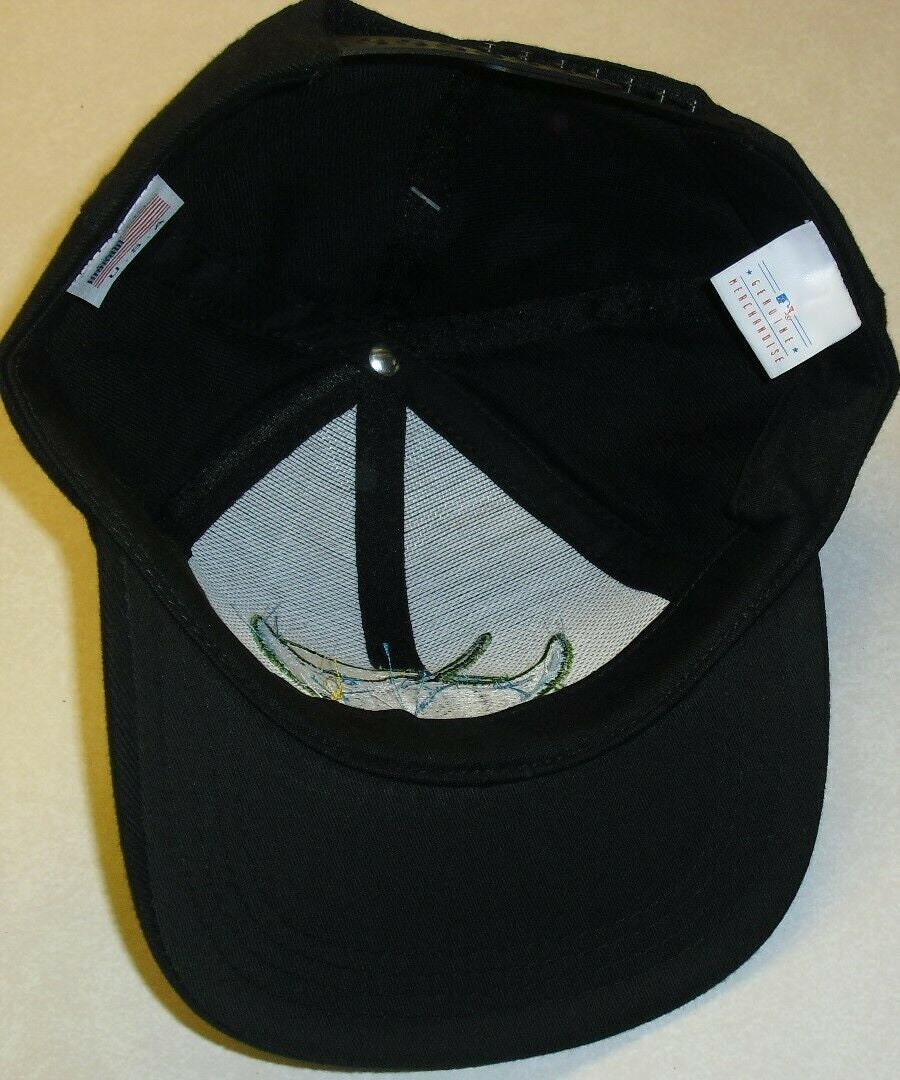 Tampa Bay Devil Rays Vintage 90s Drew Pearson Original Snapback hat New Mlb