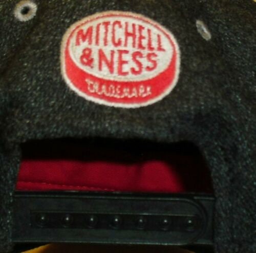 Detroit Red Wings Snapback hat Mitchell & Ness NHL New Grey Black