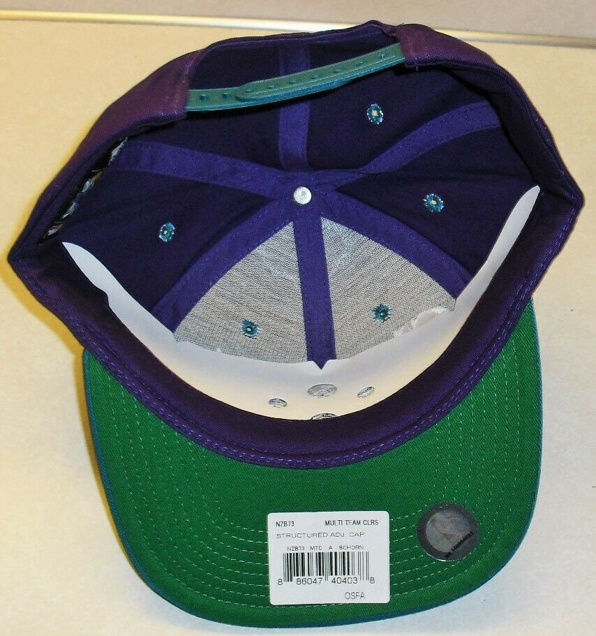 Charlotte Hornets Adidas Snapback hat New Purple Teal Nba New Green Underbill