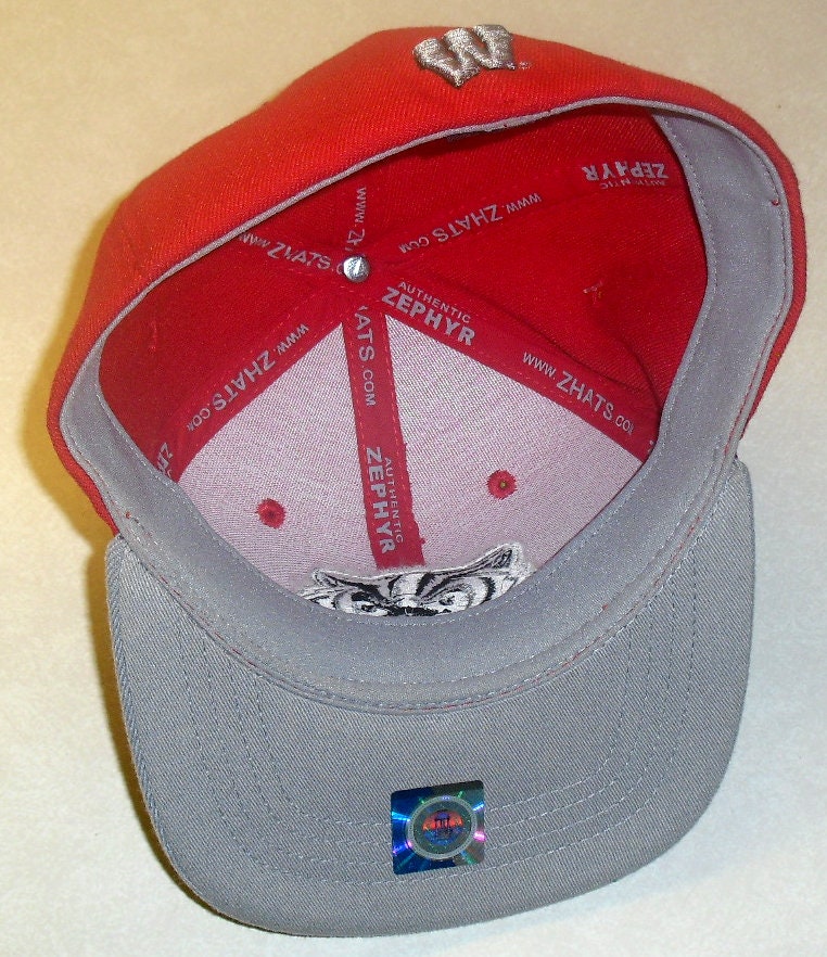 Wisconsin Badgers Kids Youth Zephyr Stretch Fit hat New Ncaa