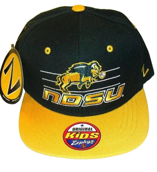 North Dakota State Bison Kids Youth Zephyr Snapback hat Ncaa