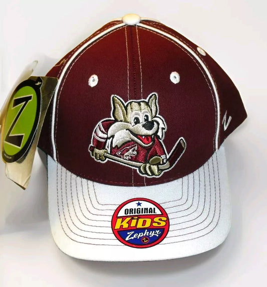 Phoenix Arizona Coyotes Kids youth Boys Zephyr Snapback hat cap New Tags Nhl