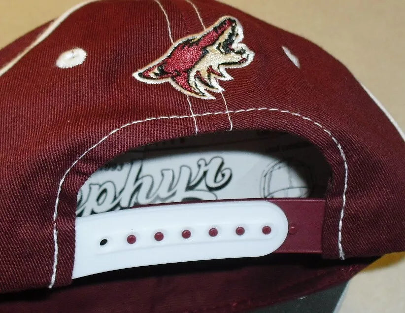 Phoenix Arizona Coyotes Kids youth Boys Zephyr Snapback hat cap New Tags Nhl